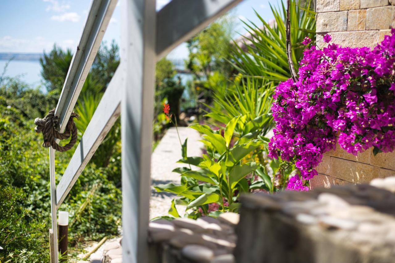 Residenze Longhi Bed & Breakfast วาสโต ภายนอก รูปภาพ